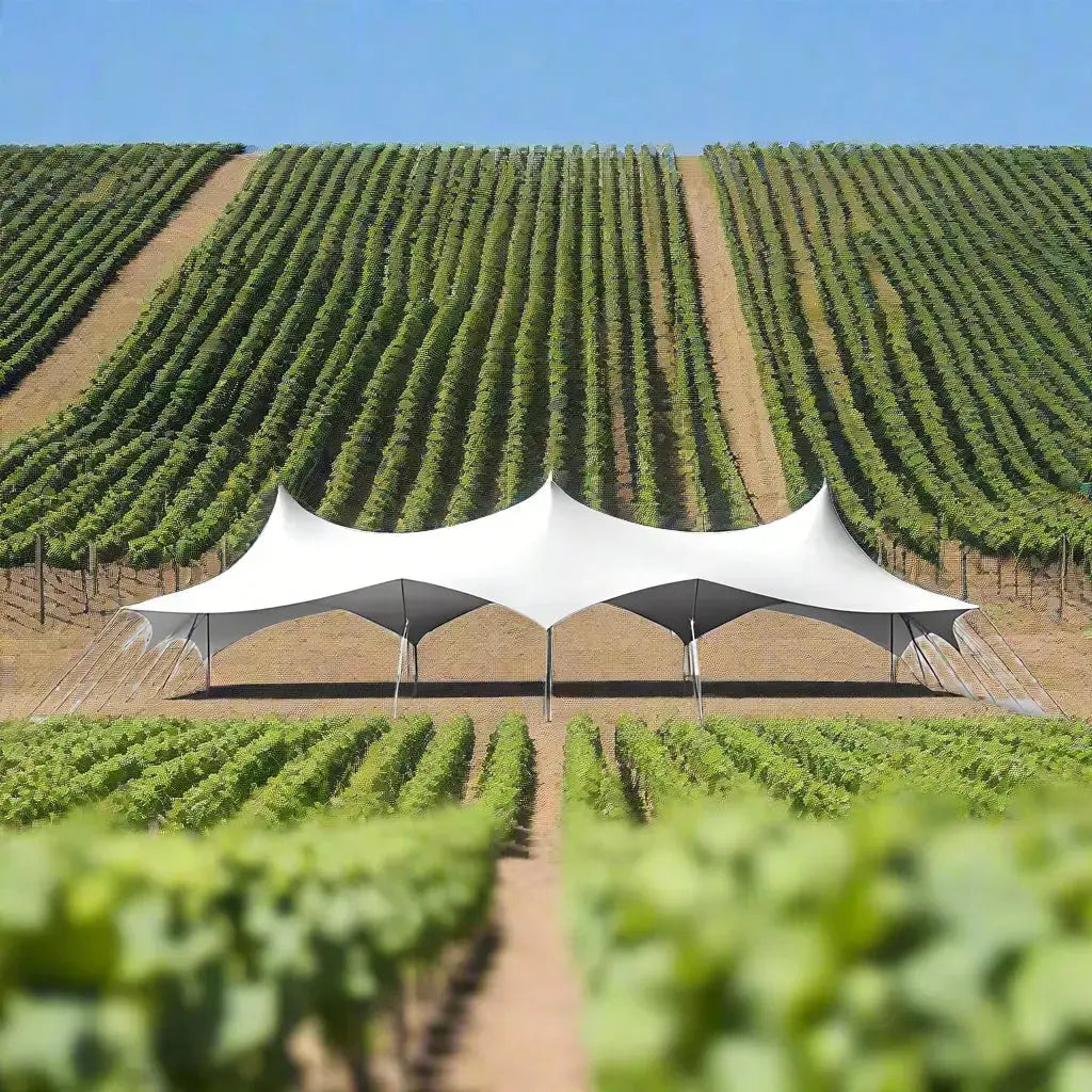 Stretch Tent 30x50ft (9x15m) Royal Tent USA